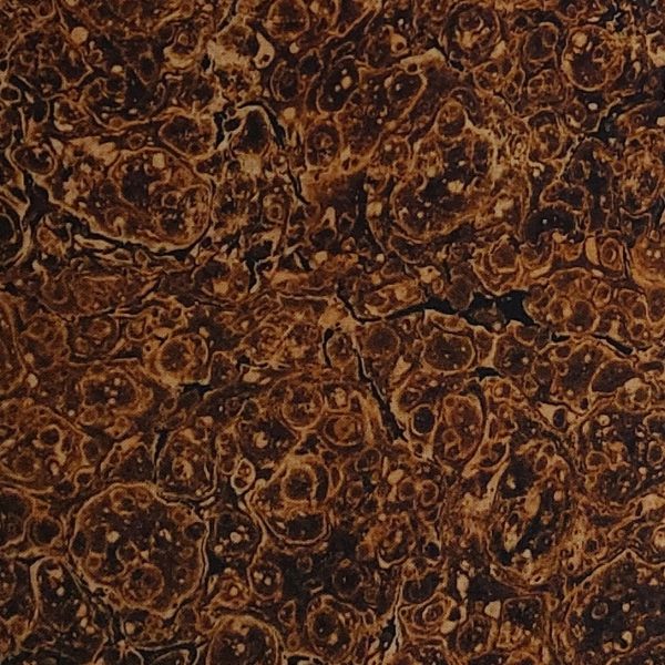 Fabric - 7462 19