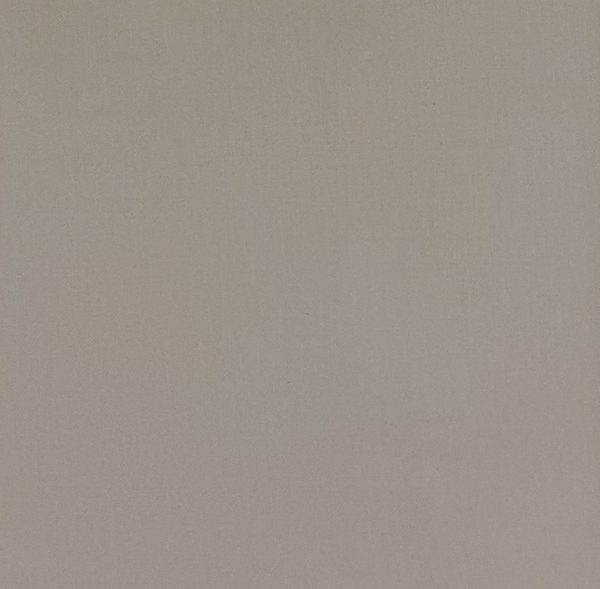 Fabric 6538 256