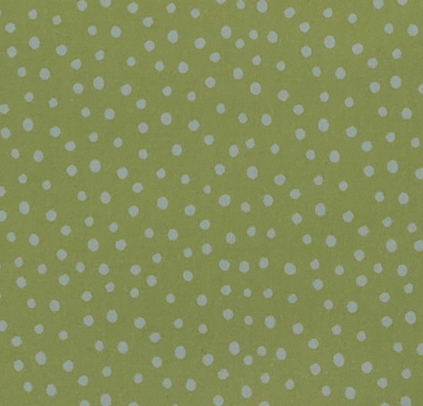 Fabric 21829 18