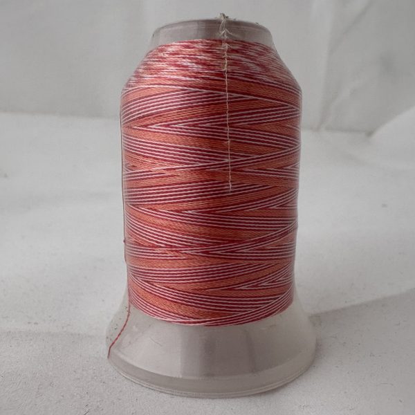 Embroidery Thread V-010