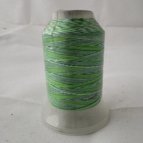 Embroidery Thread V-019